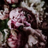 2_byJB