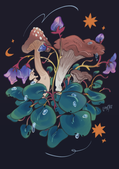 Illustration_pilze